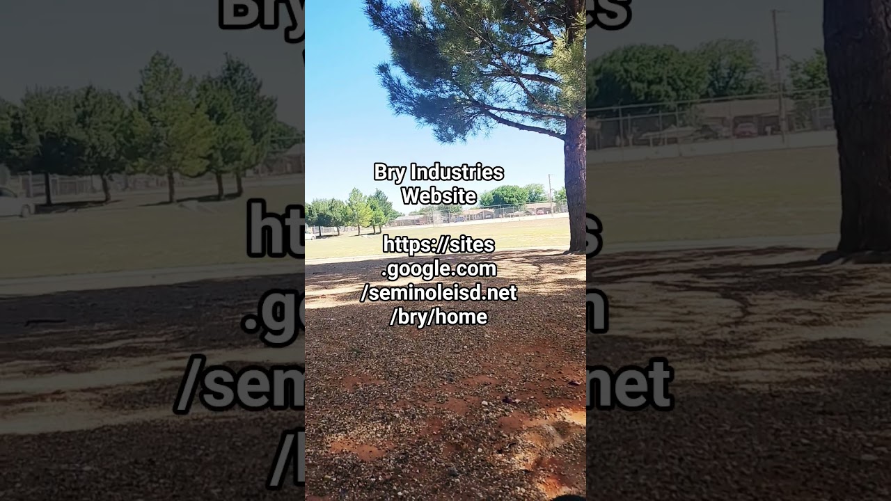https://sites.google.com/seminoleisd.net/bry/home